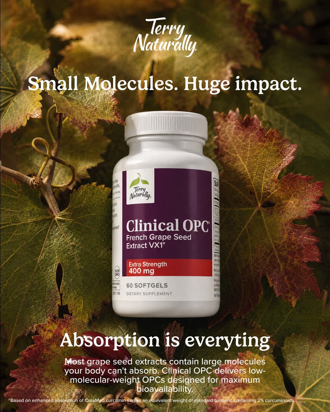 Publicité Meta Terry Naturally pour Clinical OPC : le flacon sur un feuillage de vigne automnal, accroche « Small molecules. Huge impact ».