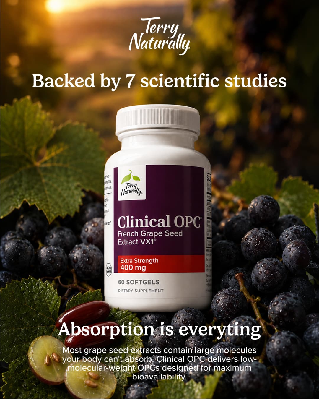Publicité Meta Clinical OPC : le flacon devant des grappes de raisin noir au crépuscule, mention des sept études cliniques.
